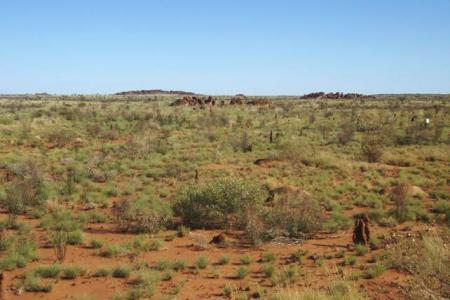 Photo of the landscape taken during Rodger Barnes' fieldwork.