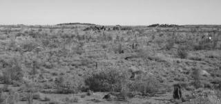 Photo of the landscape taken during Rodger Barnes' fieldwork.